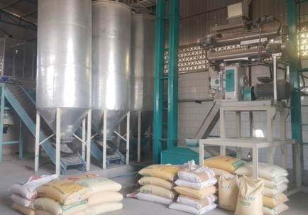 كيف تساهم الأعلاف المتوازنة في تحسين أداء المزارع؟