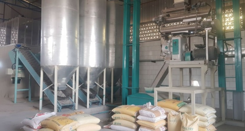 كيف تساهم الأعلاف المتوازنة في تحسين أداء المزارع؟